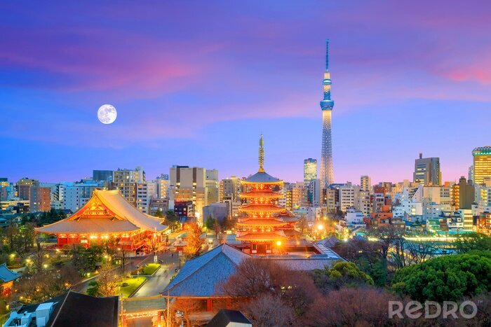 Bild Blick auf Tokio in der Abenddämmerung