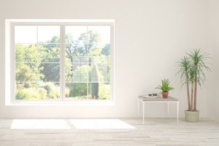 Bild Blick aus dem Fenster auf die Baumkronen