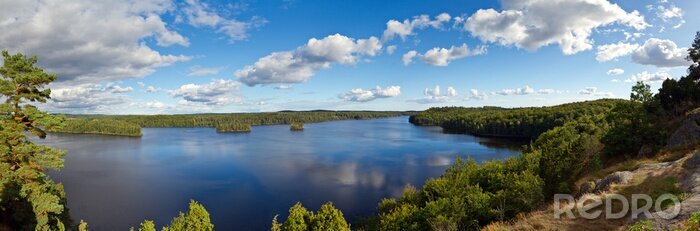 Bild Blick von oben am Sommertag
