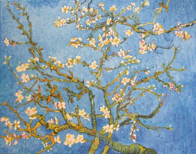 Bild Blossoming Almond Tree. Beautiful oil painting on canvas. Based on the great painting by Van Gogh, 1890. Brush strokes and canvas textures