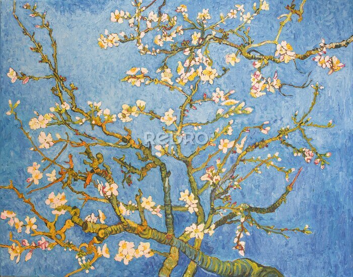 Bild Blossoming Almond Tree. Beautiful oil painting on canvas. Based on the great painting by Van Gogh, 1890. Brush strokes and canvas textures