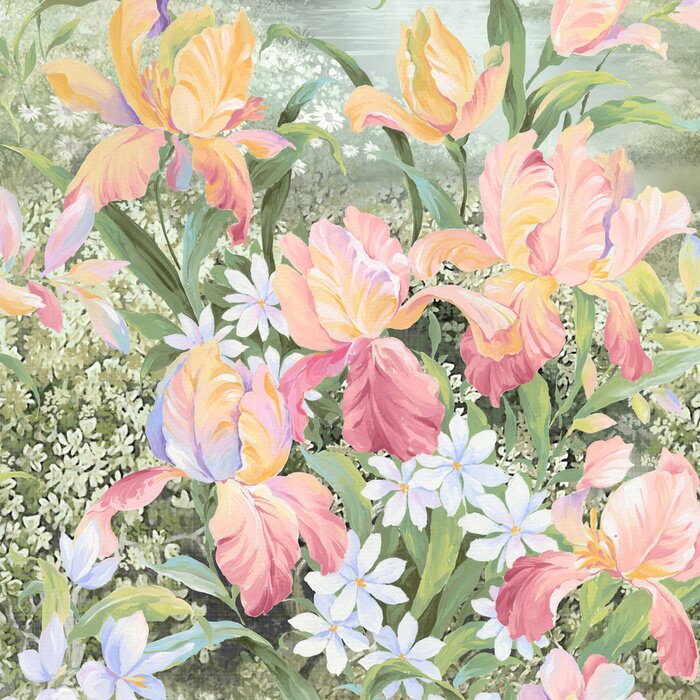 Bild Blühende Schwertlilien