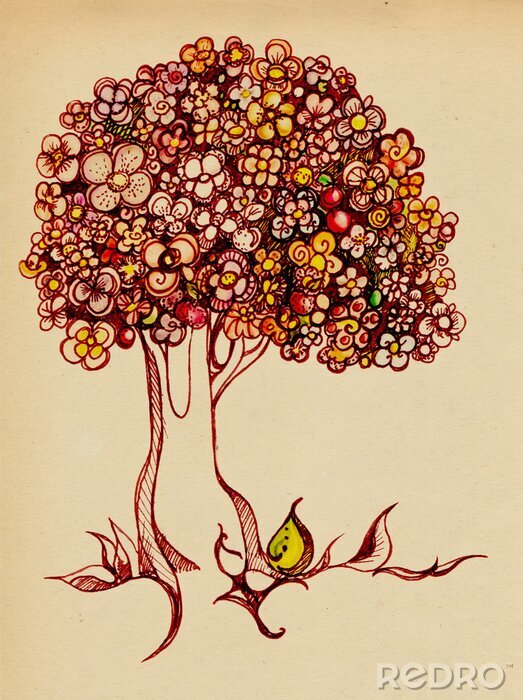 Bild Blütenbaum
