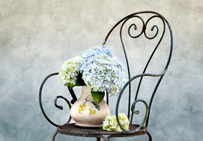 Blumen Hortensien und Stuhl