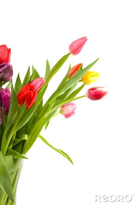 Bild Blumen in einem Blumenstrauß auf einem weißen Hintergrund