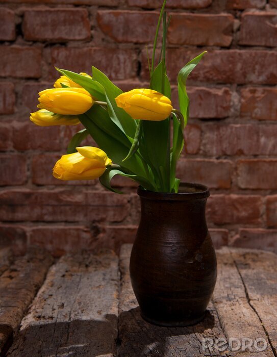 Bild Blumen in einer Vase