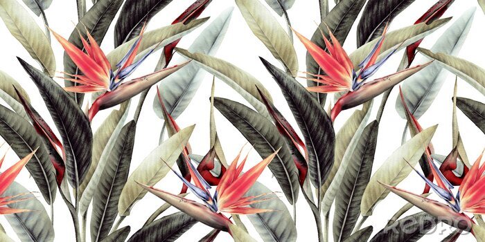 Bild Blumenmuster mit tropischen Blättern und Strelitzienblüten auf weißem Hintergrund