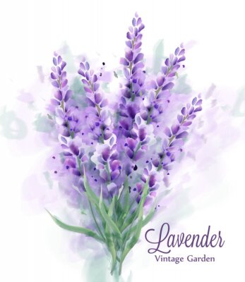 Blumenstrauß aus Lavendel Frühlingsaquarell
