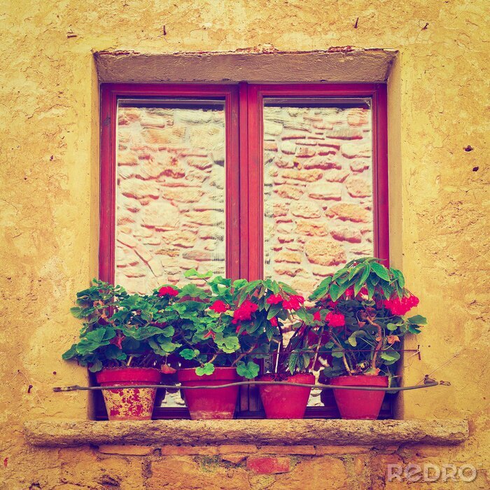 Bild Blumentöpfe vor ziegelfenster