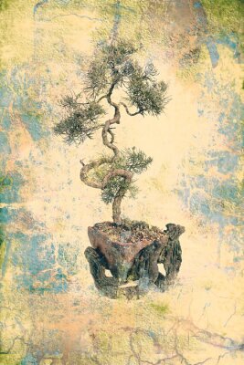 Bild Bonsai-Baum vor dem Hintergrund von altem Papier