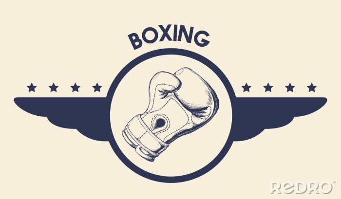 Bild Boxen-Logo mit Boxhandschuh