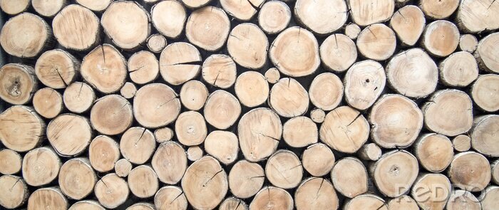 Bild Brennholz trocknet im Freien