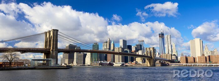Bild Brooklyn Bridge und New York City