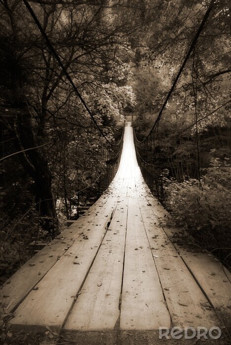 Bild Brücke im dunklen Wald