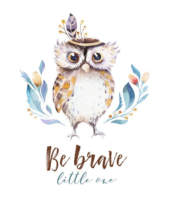 Bild Bunte aquarellfarbene Eule