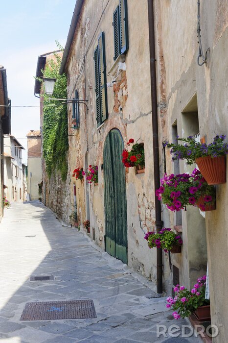 Bild Bunte Blumen bei altem Mietshaus