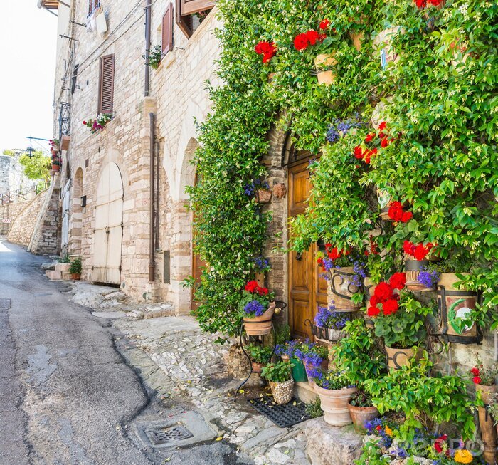 Bild Bunte Blumen im alten Stadtviertel