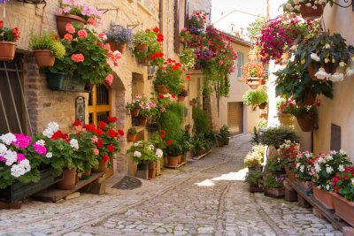 Bunte Blumen in einer italienischen Gasse in Spello