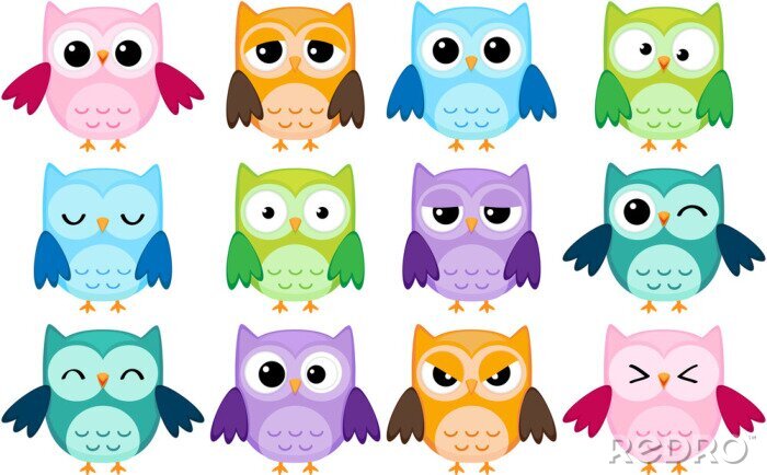 Bild Bunte Eulen zeigen Emotionen