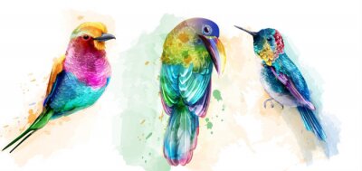 Bunte exotische Vögel mit Aquarellfarben gemalt