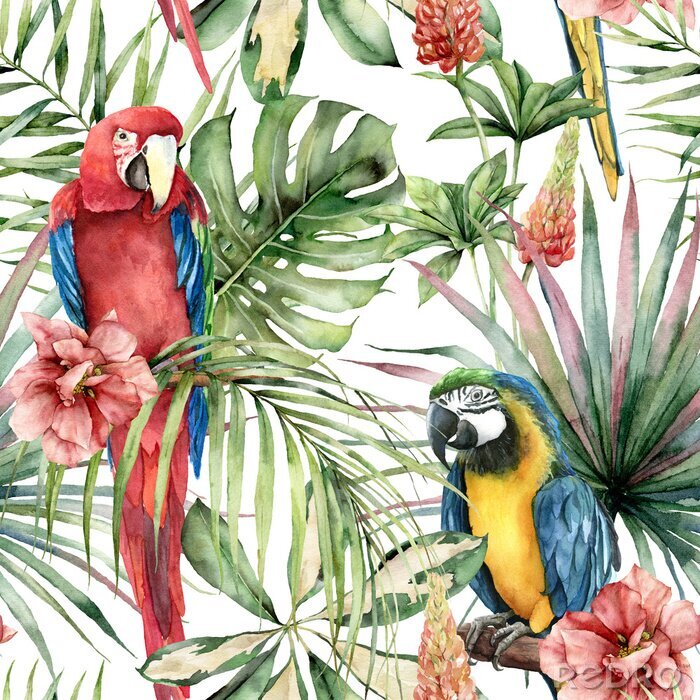 Bild Bunte Papageien und Hibiskus