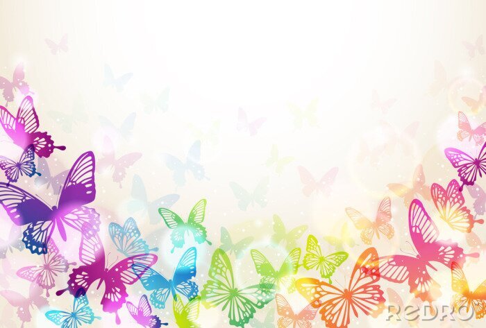 Bild Bunte Schmetterlinge in der Sonne