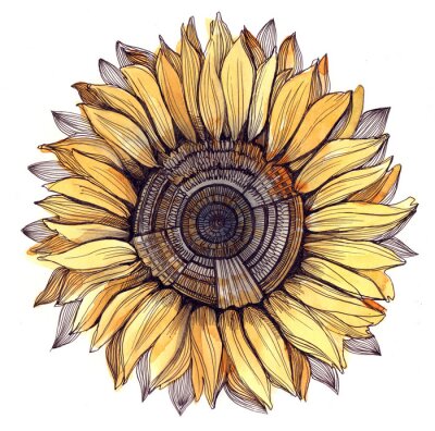 Bild Bunte Skizze mit Sonnenblume