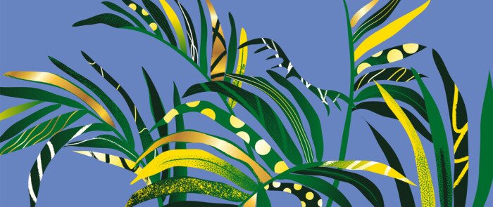 Bild Buntes abstraktes Muster tropischer Blätter