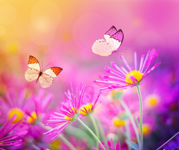 Bild Buntes Motiv mit Blumen