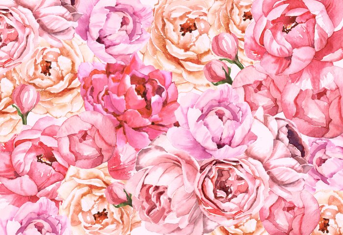 Bild Buntes Motiv mit Pfingstrosen