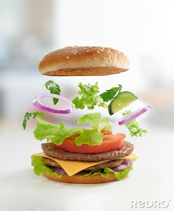 Bild Burger und seine Zutaten
