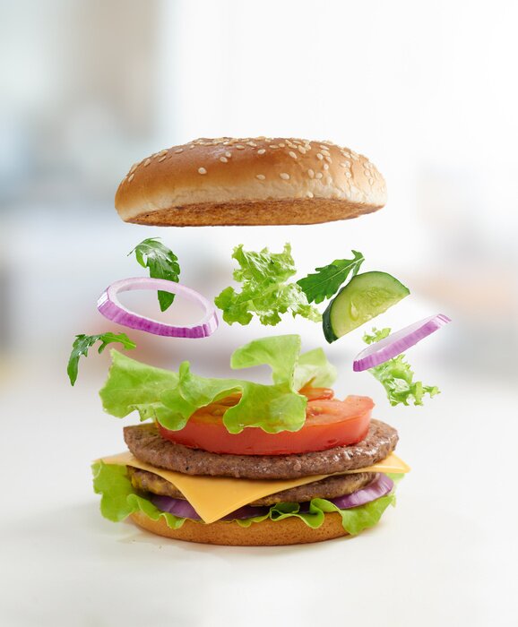 Bild Burger und seine Zutaten