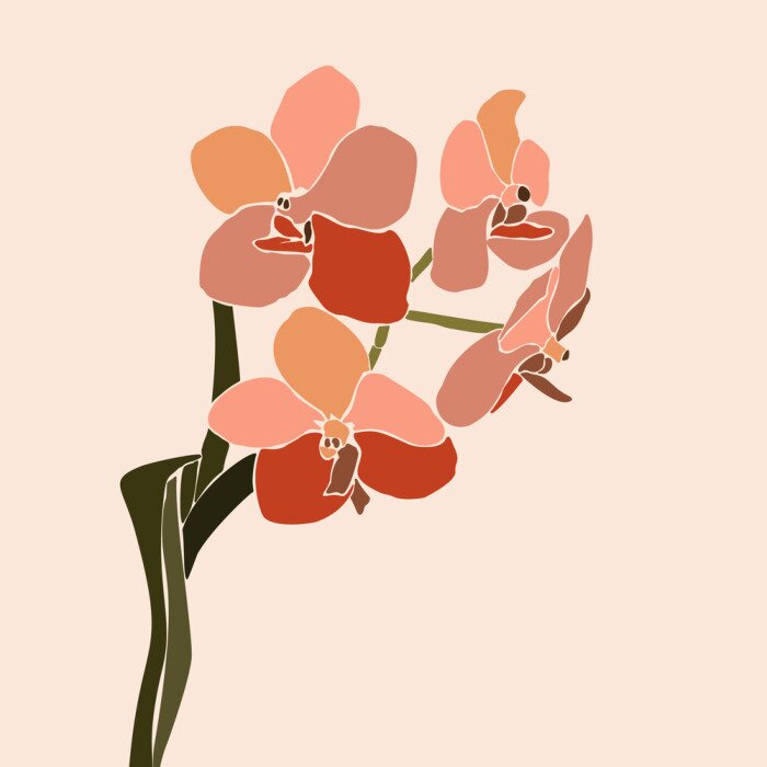 Bild Burgunderrote Orchidee minimalistische Grafik