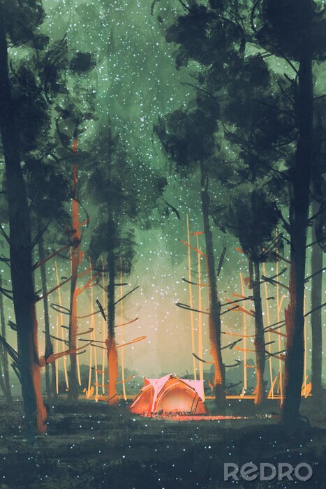 Bild Camping im Wald in der Nacht mit Sternen und Glühwürmchen, Illustration, digitale Malerei