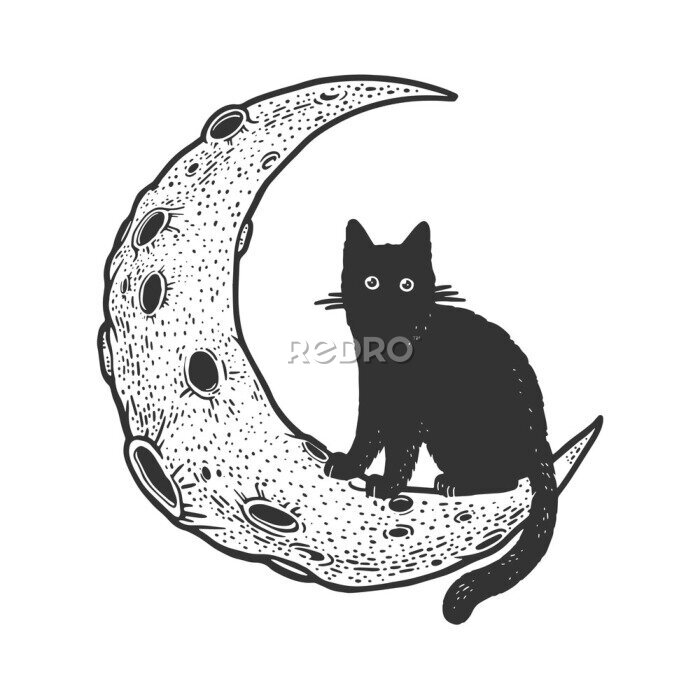 Bild Cartoon cat on Moon sketch engraving vector illustration. T-shirt apparel print design. Scratch board imitation. Black and white hand drawn image.