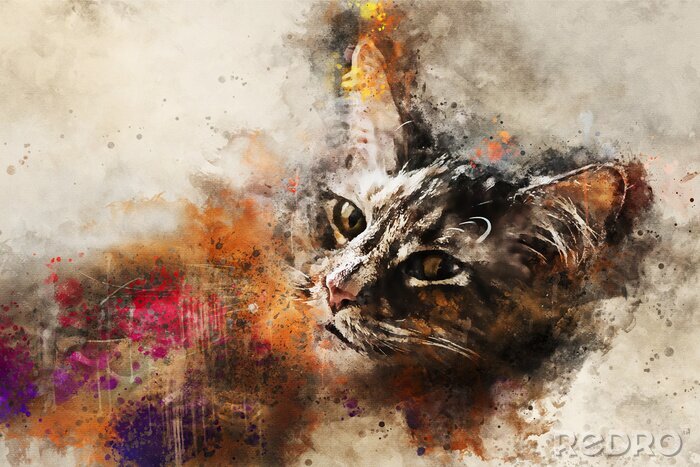 Bild Cat art. Beautiful abstract cat artwork - watercolor drawing, mixed media. The face of a cat in a contemporary style of abstract art.