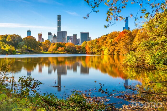 Bild Central Park im Herbst
