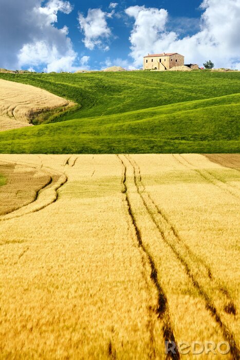 Bild Charakteristische Landschaft der Toskana