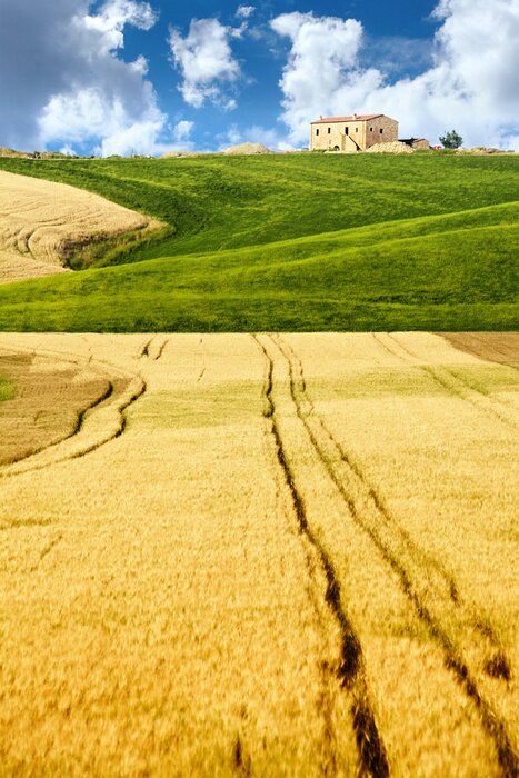 Bild Charakteristische Landschaft der Toskana