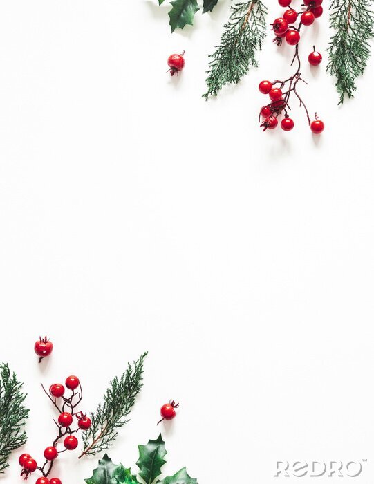 Bild Christmas composition. Frame made of christmas plants on white background. Flat lay, top view, copy space