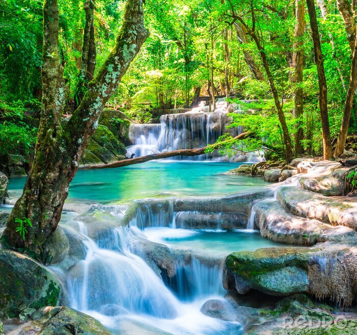Bild Coole Wasserfall im tiefen Wald