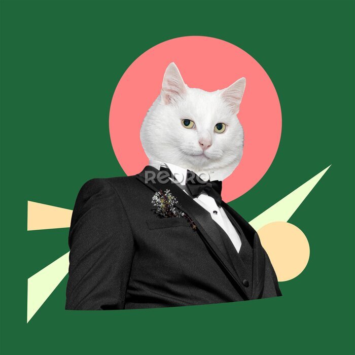Bild Costume and a black tie with a white cat head. Digital collage modern art.