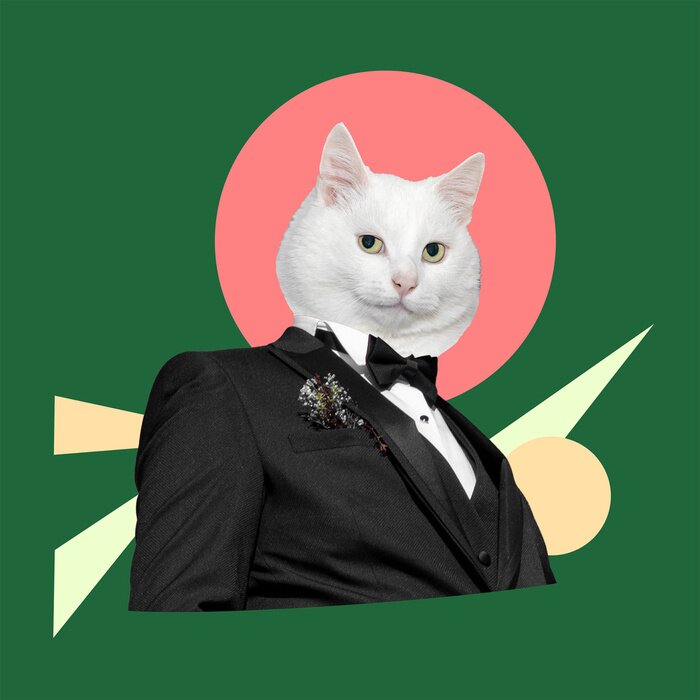 Bild Costume and a black tie with a white cat head. Digital collage modern art.