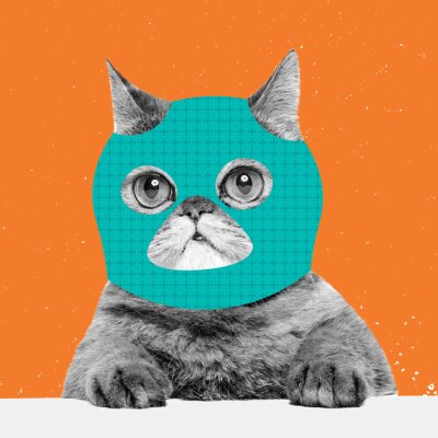 Bild Creative portrait of cute cat wearing drawn balaclava isolated on bright neon background. Inspirative art, pets, animal, humor and fashion concept.