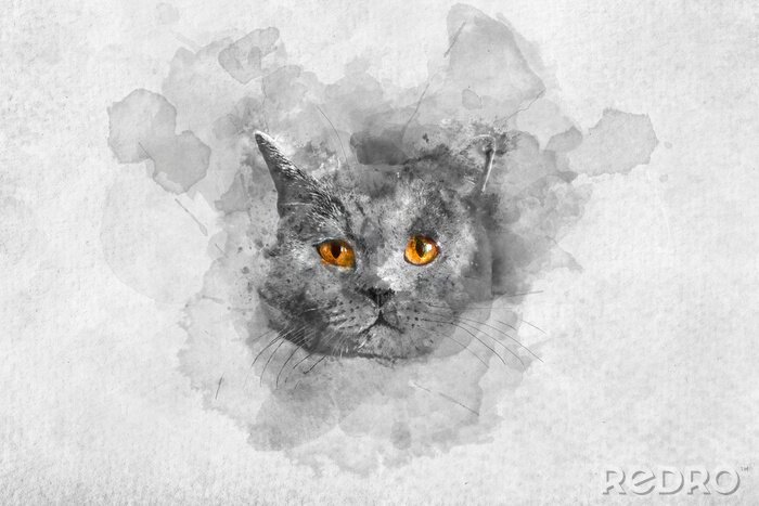 Bild Cute British shorthair cat's watercolor portrait.