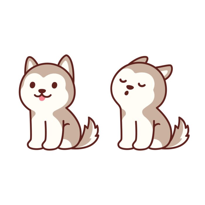 Bild Cute husky puppy howling