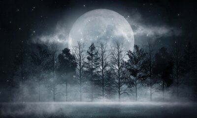 Bild Dark forest. Gloomy dark scene with trees, big moon, moonlight. Smoke, shadow. Abstract dark, cold street background. Night view.