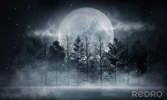 Bild Dark forest. Gloomy dark scene with trees, big moon, moonlight. Smoke, shadow. Abstract dark, cold street background. Night view.