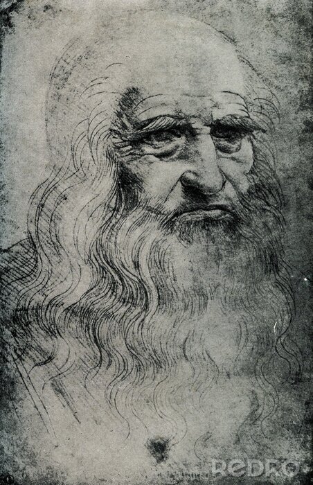 Bild Das alte Porträt von Leonardo da Vinci