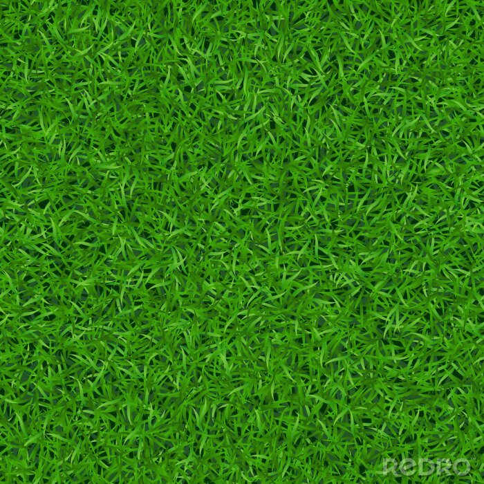 Bild Das Symbol der Natur - der Busen der Natur